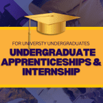 Undergraduate Intern – Work Placement