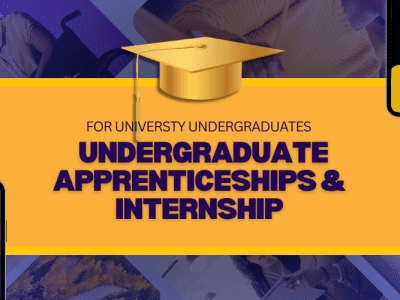 Undergraduate Intern – Work Placement